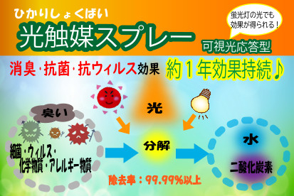 光触媒