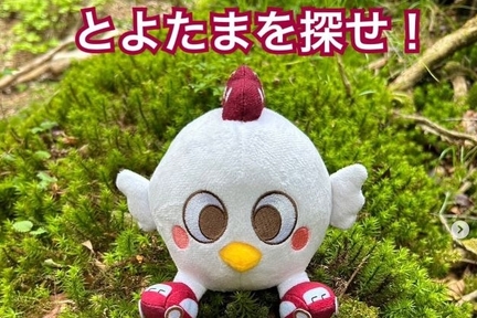 とよたま