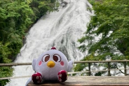 とよたま