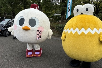フェス