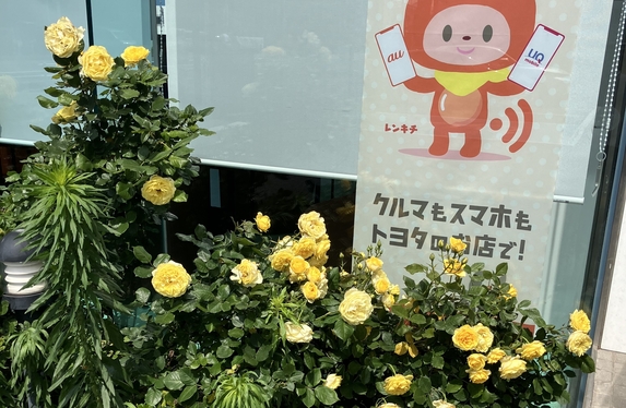 三郷店 | 埼玉トヨタ